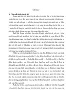 Tiểu luận Thực hiện chính sách ưu đãi đầu tư của tỉnh Bắc Giang