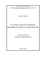 Tư tưởng canh tân về kinh tế, khoa học kỹ thuật của phạm phú thứ (Tóm tắt  trích đoạn)