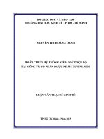 Hoàn thiện hệ thống kiểm soát nội bộ tại Công ty Cổ phần Dược phẩm Euvipharm