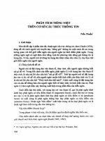 Phân tích tiếng việt trên cơ sở cấu trúc thông tin (Tóm tắt  trích đoạn)