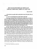 Đào tạo nguồn nhân lực pháp luật cho quá trình phát triển của việt nam (tóm tắt  trích đoạn)