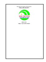 báo cáo thực tập công nhân  sinh môi trường