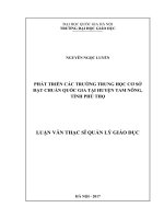 Phát triển các trường trung học cơ sở đạt chuẩn quốc gia tại huyện tam nông, tỉnh phú thọ (Tóm tắt  trích đoạn)