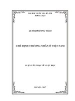Chế định thương nhân ở việt nam (tóm tắt  trích đoạn)