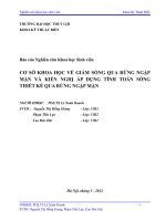 Cơ sở khoa học về giảm sóng qua rừng ngập mặn và kiến nghị áp dụng tính toán sóng thiết kế qua rừng ngập mặn (tóm tắt  trích đoạn)