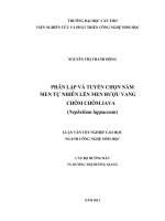 Phân lập và tuyển chọn nấm lên men tự nhiên lên men rượu vang chôm chôm java (nephelium lappaceum) (Tóm tắt  trích đoạn)