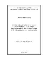 Sưu tập hiện vật đồng sơ kỳ đồ sắt ở khu mỏ đồng   vàng sepon huyện vilabouly tỉnh sanvannakhet nước cộng hòa dân chủ nhân dân lào (Tóm tắt  trích đoạn)