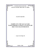 Nghiên cứu chế tạo vật liệu nanocomposit cu silica ứng dụng để diệt nấm colletotrichum (Tóm tắt  trích đoạn)