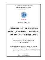Giải pháp phát triển nguồn nhân lực ngành tài nguyên và môi trường tỉnh hậu giang (tóm tắt  trích đoạn)