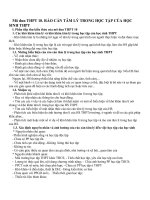 Báo cáo và vận dụng Mô đun THPT 10