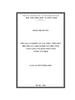 Chế tạo và nghiên cứu cấu trúc, tính chất điện hóa của một số điện cực biến tính vàng nano, ứng dụng phân tích lượng vết Hg(II) (LA tiến sĩ)