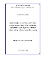 Hoàn thiện các cấp độ văn hóa doanh nghiệp tại công ty TNHH MTV công trình công cộng vĩnh long 