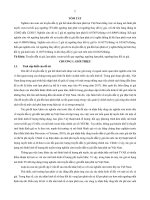 Nghiên cứu truyền dẫn tỷ giá hối đoái đến lạm phát tại việt nam (tt) 