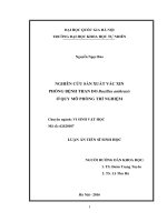 Nghiên cứu sản xuất vắc xin phòng bệnh than do bacillus anthracis ở quy mô phòng thí nghiệm (Tóm tắt  trích đoạn)