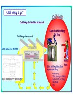 Câu Chuyện QC ở Việt NamQC story VN for GEO