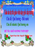 Giáo án dự thi Chủ đề QUÊ HƯƠNG - ĐẤT NƯỚC