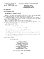 Đề thi học kì 2 môn Ngữ văn lớp 10 trường THPT Nguyễn Chí Thanh, TP. Hồ Chí Minh năm học 2015  2016 