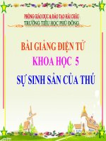 Bài Giảng Sự Sinh Sản Của Thú - Khoa Học  5