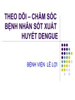 Bài Giảng Theo Dõi – Chăm Sóc Bệnh Nhân Sốt Xuất Huyết DENGUE