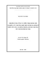 Chuỗi cung ứng và tiêu thụ hàng mã (nghiên cứu trường hợp một số hộ gia đình ở thôn Yên Cốc, xã Hồng Phong, huyện Chương Mỹ, thành phố Hà Nội)
