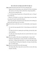 Đề cương ôn tập học kì 2 môn Tin học lớp 10 