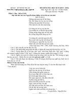 Đề thi học kì 2 môn Ngữ văn lớp 10 trường THPT Phan Chu Trinh, Ninh Thuận năm học 2015  2016 