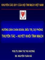 Bài Giảng Hướng Dẫn Chẩn Đoán, Điều Trị, Dự Phòng Thuyên Tắc – Huyết Khối Tĩnh Mạch