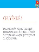 Đoàn Viên Phấn Đấu Trở Thành Lực Lượng Xung Kích Cách Mạng, Góp Phần Xây Dựng Và Bảo Vệ Tổ Quốc Việt Nam Xã Hội Chủ Nghĩa