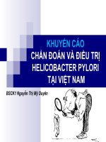 Khuyến Cáo Chẩn Đoán Và Điều Trị HELICOBACTER PYLORI Tại Việt Nam
