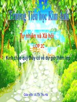 Bài Giảng Một Số Loài Cây Sống Dưới Nước