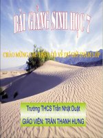 Bài Giảng Giun Đất – Sinh Học 7