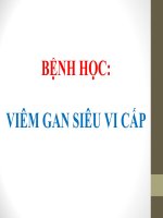 Bài Giảng Viêm Gan Siêu Vi Cấp