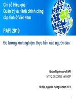Chỉ số Hiệu quả Quản trị và Hành chính công cấp tỉnh ở Việt Nam - Đo lường kinh nghiệm thực tiễn của người dân