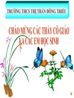 bài giảng TIẾN HÓA VỀ SINH SẢN