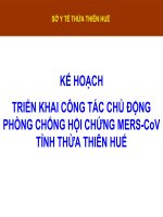 Kế Hoạch Triển Khai Công Tác Chủ Động Phòng Chống Hội Chứng Mers-Cov Tỉnh Thừa Thiên Huế