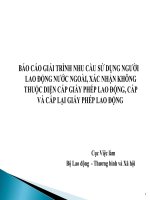 Báo Cáo Giải Trình Nhu Cầu Sử Dụng Người Lao Động Nước Ngoài, Xác Nhận Không Thuộc Diện Cấp Giấy Phép Lao Động, Cấp Và Cấp Lại Giấy Phép Lao Động