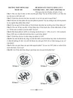 Đề thi giữa học kì 2 môn Sinh học lớp 10 trường THPT Đồng Đậu, Vĩnh Phúc năm học 2016  2017 