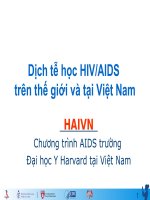 Dịch tễ học HIV-AIDS trên thế giới và tại Việt Nam