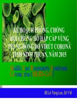 Kế Hoạch Phòng, Chống Hội Chứng Hô Hấp Cấp Vùng Trung Đông Do Virút Corona Tỉnh Ninh Thuận