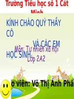 Bài giảng Một số loài cây sống trên cạn