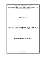 Một số vấn đề triết học văn hóa (Tóm tắt, trích đoạn)