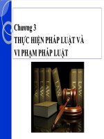 Bài giảng THỰC HIỆN PHÁP LUẬT VÀ VI PHẠM PHÁP LUẬT
