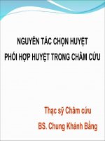 Nguyên Tắc Chọn Huyệt Phối Hợp Huyệt Trong Châm Cứu