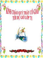 Bài Giảng Đa Dạng Của Ngành Ruột Khoang