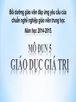 Mô Đun Giáo Dục Giá Trị
