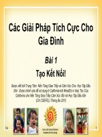 Bài Giảng Các Giải Pháp Tích Cực Cho Gia Đình