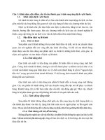 Đánh giá chất lượng dịch vụ lữ hành tại một doanh nghiệp cụ thể từ đó đề xuất các giải pháp nhằm nâng cao chất lượng dịch vụ đó