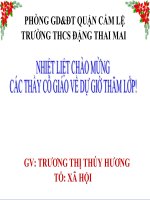 Bài giảng CÂU TRẦN THUẬT ĐƠN CÓ TỪ LÀ