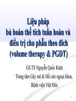Liệu pháp bù hoàn thể tích tuần hoàn và điều trị chu phẫu theo đích (volume therapy & PGDT)