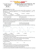 Đề thi học kì 2 môn Sinh học lớp 10 (nâng cao) trường THPT Phan Văn Trị, Cần Thơ năm học 2015  2016